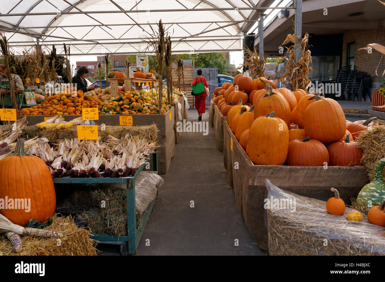 Pumpkins and squash for sale at the Jean Talon Market, Montreal, Quebec, Canada Stock Photo