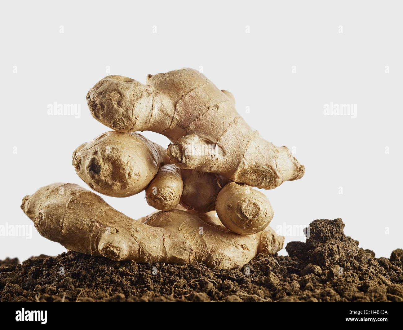 Ginger, ground, brown, nature, harvest, root, ginger root, Zingiber