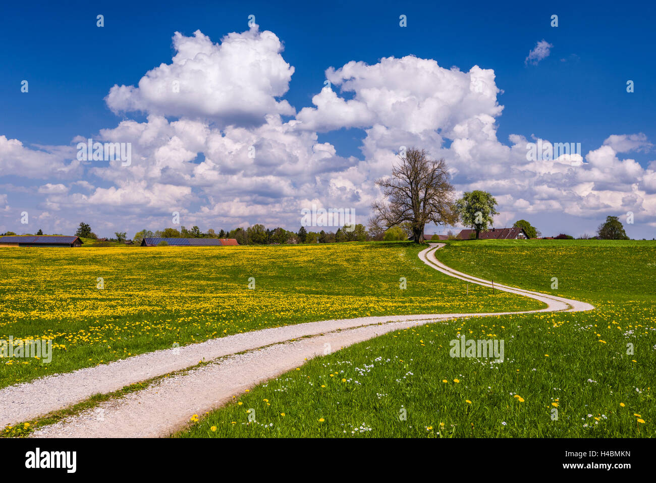 Germany, Bavaria, Upper Bavaria, Fünfseenland, Schmitten, municipality ...