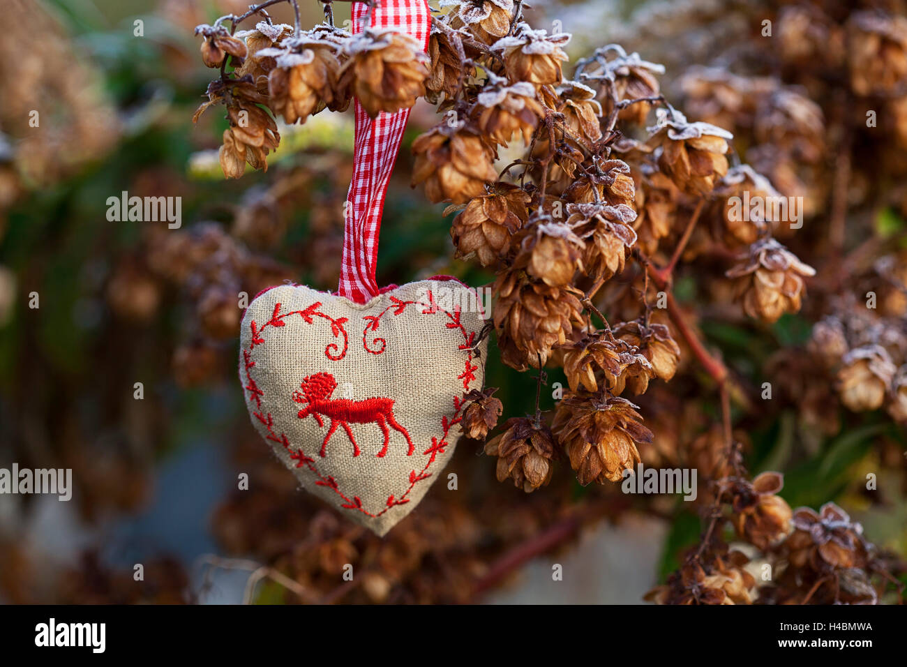 Material heart with elk's motive, hop Stock Photo
