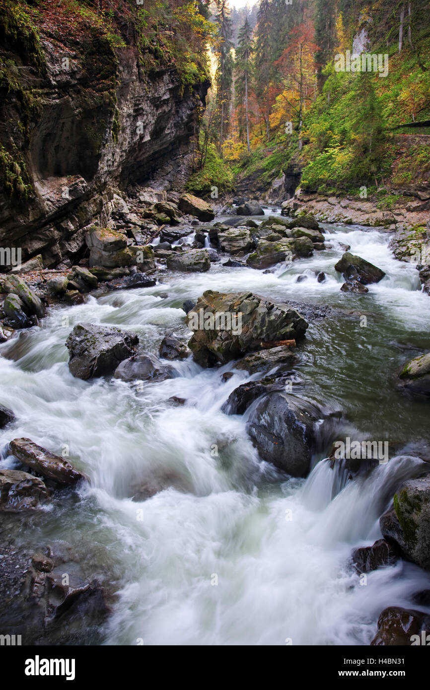 Autumn, wood, river, torrent, rapids, Breitachklamm (gorge), Allgäu, the  Alps, Bavaria, Germany Stock Photo - Alamy