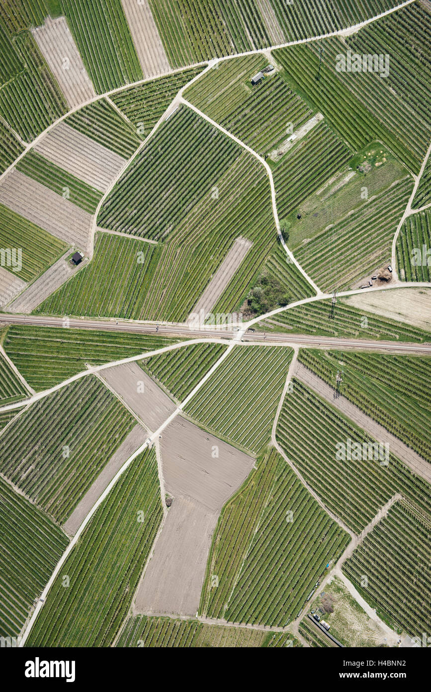 Nature, landscape, Val Sulgana, railway, aerial shot, meadow, fields, way, wine-growing, summer, Caldonazzo, Trentino, Italy Stock Photo