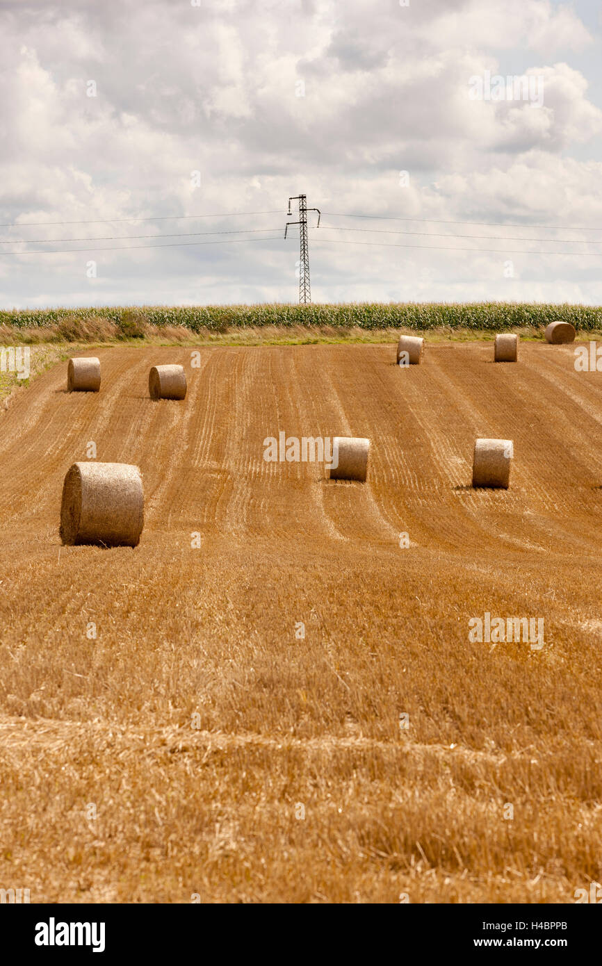 Straw bales in France Stock Photo Alamy