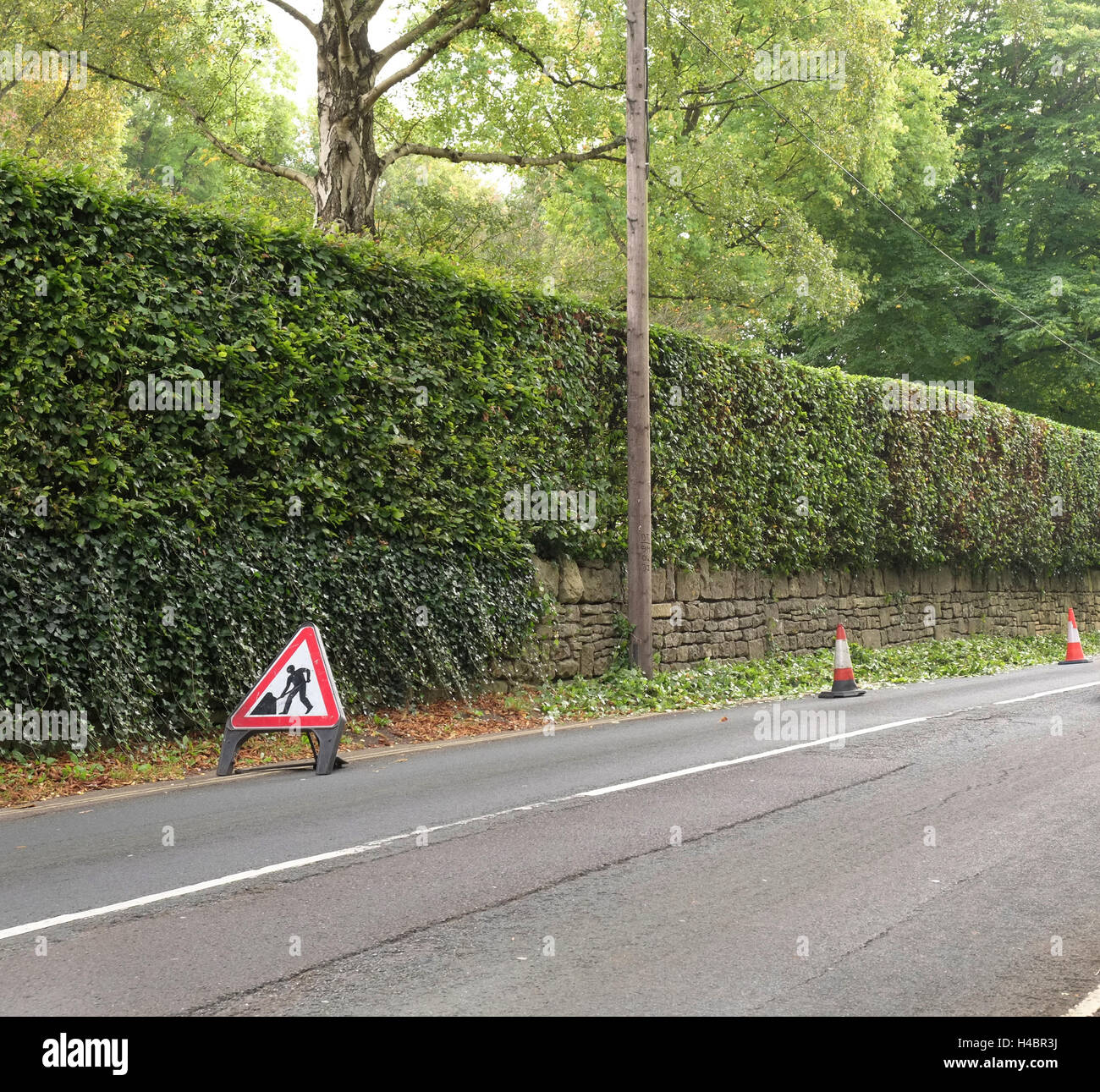 13th October 2016 - Road signs and traffic cones out during the trimming of a high hedge beside a busy road. Stock Photo