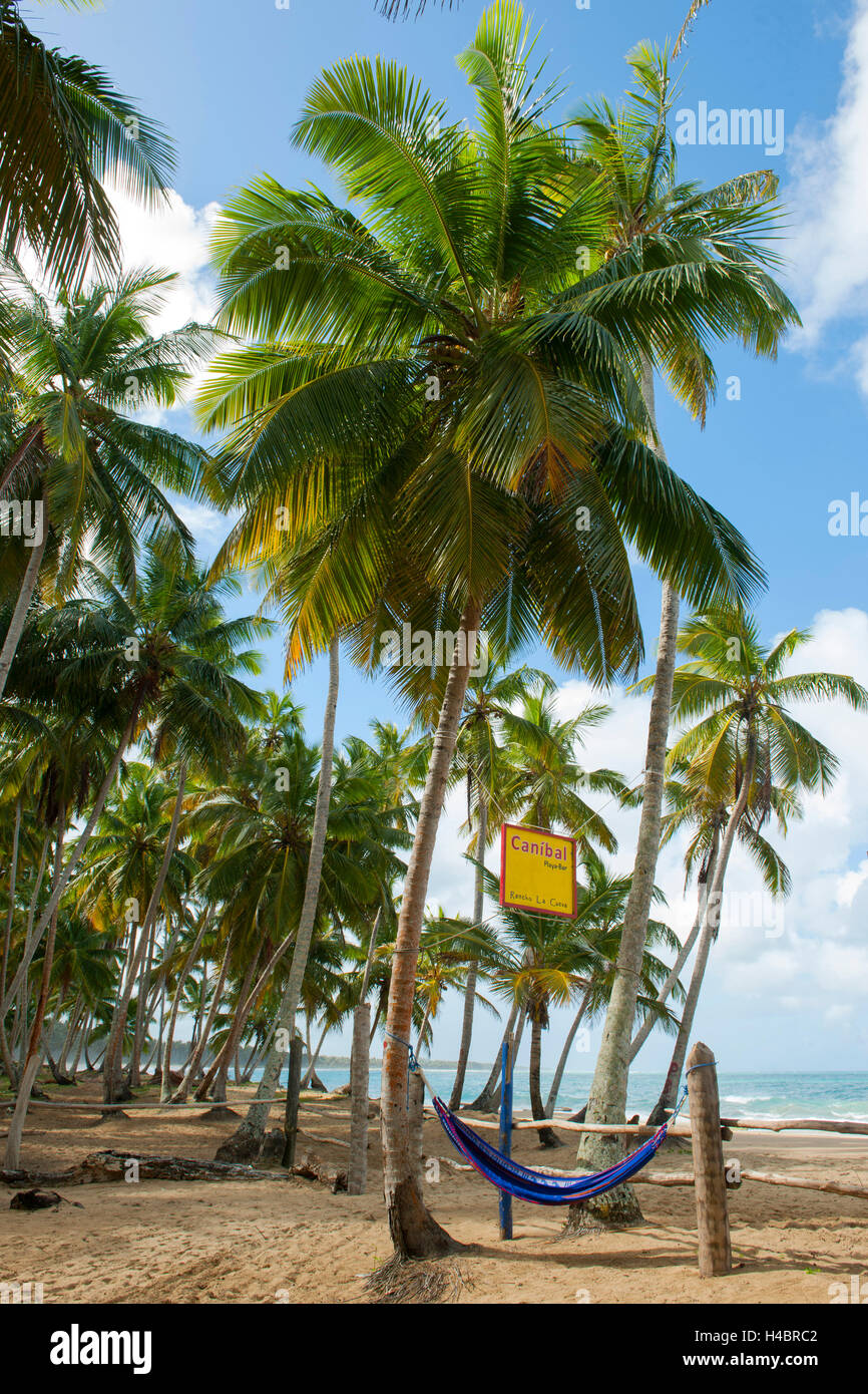 The Dominican Republic, the east, tablespoon Cedro, beach Playa Limon Stock Photo