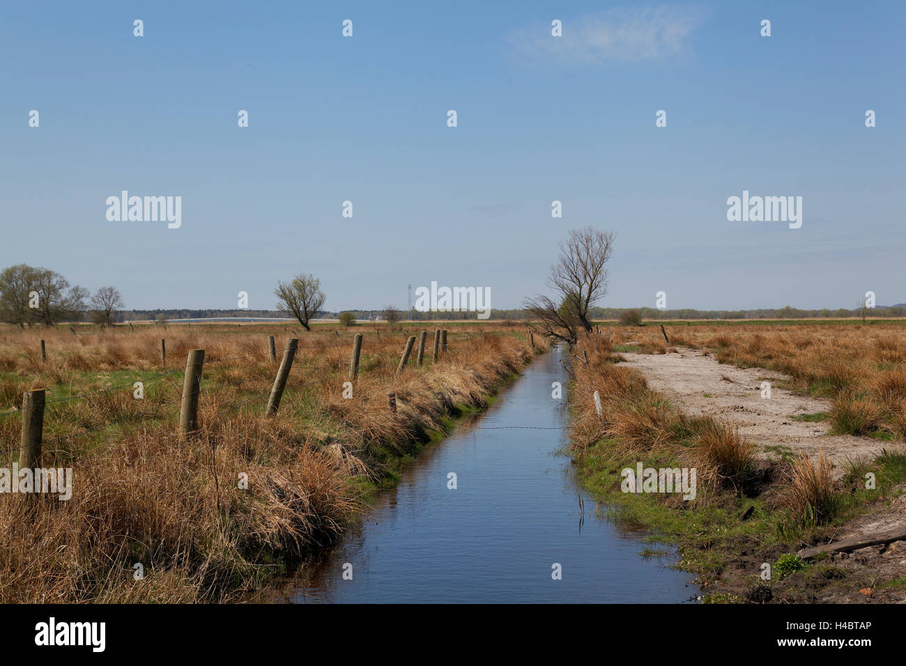 Bird sanctuary Karsiborska Kepa in the national park Wolin, island Wolin, West Pomeranian Voivodeship, Poland Stock Photo