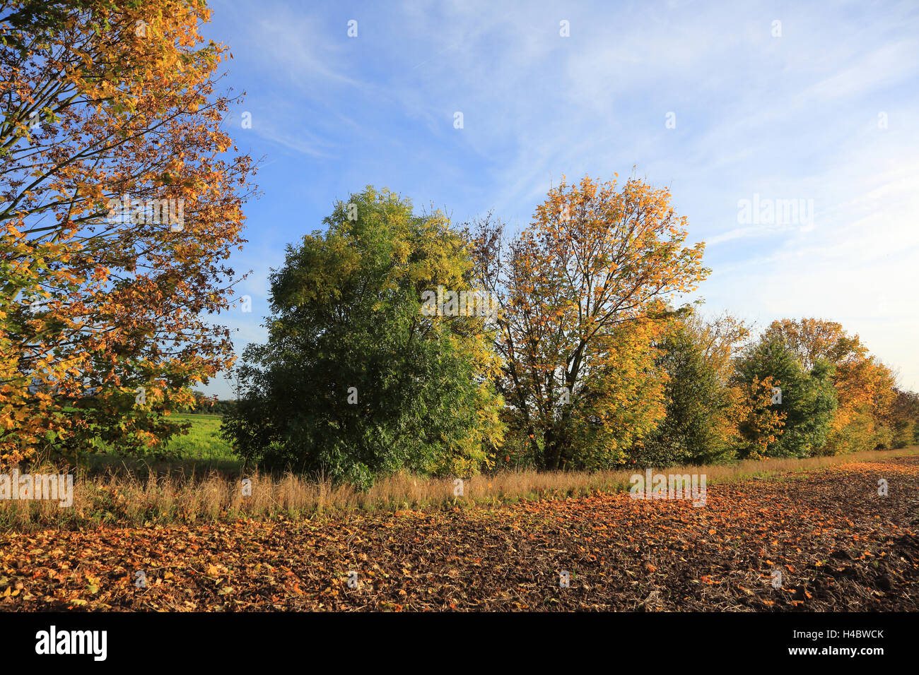 Field landscape hi-res stock photography and images - Alamy