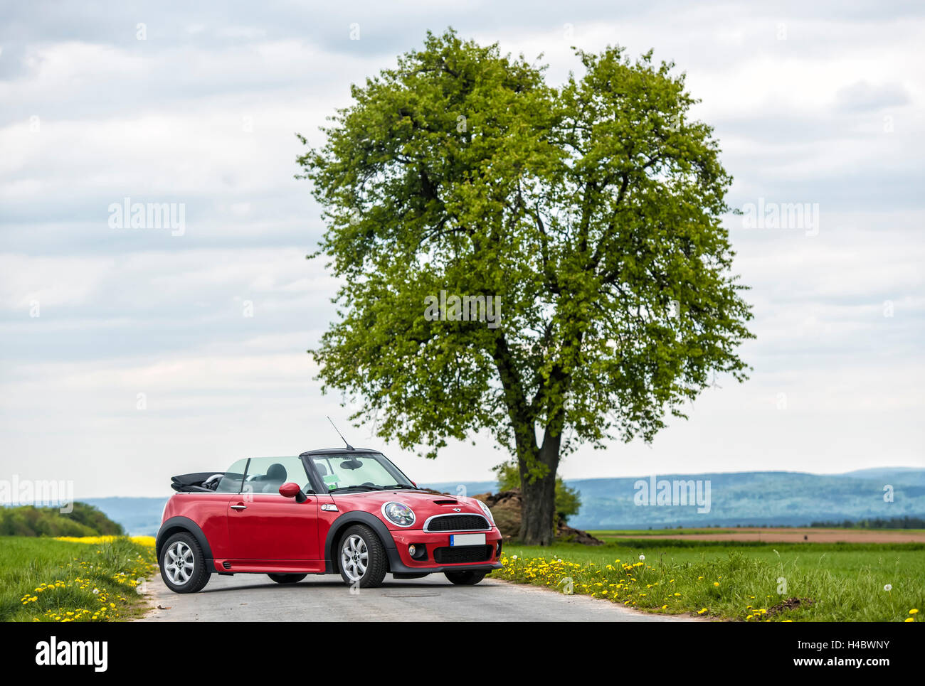 Breuberg, Hesse, Germany, Mini Cooper S convertible, year of manufacture 2015, Stock Photo