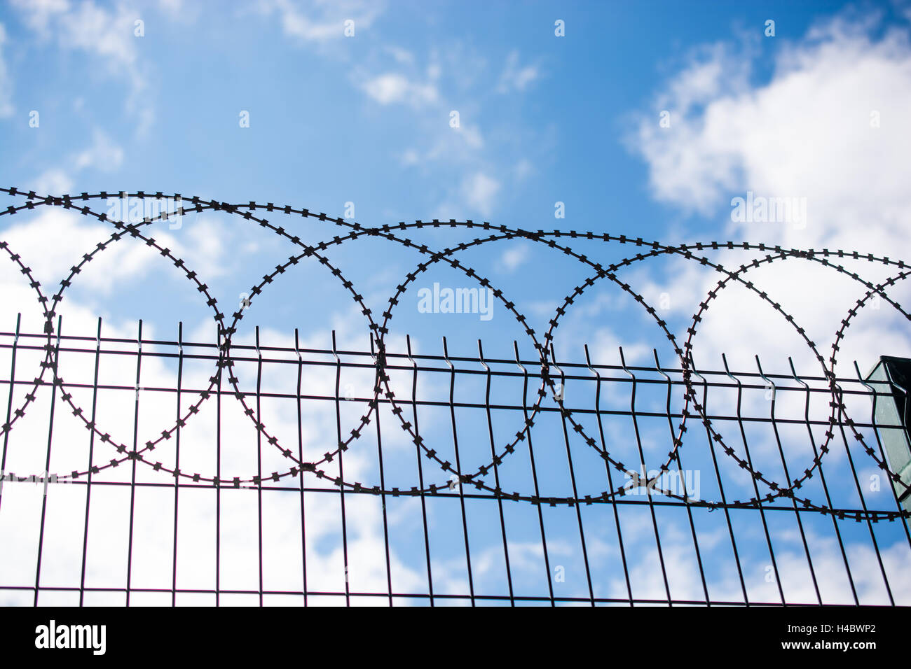 Coiled razor wire fence with a blue sky background Stock Photo - Alamy