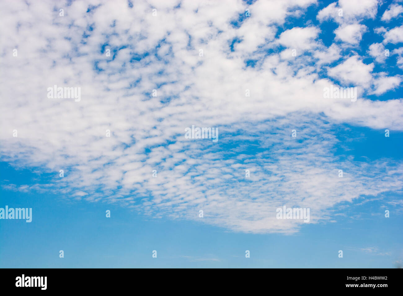Beautiful white clouds on a sunny day Stock Photo - Alamy