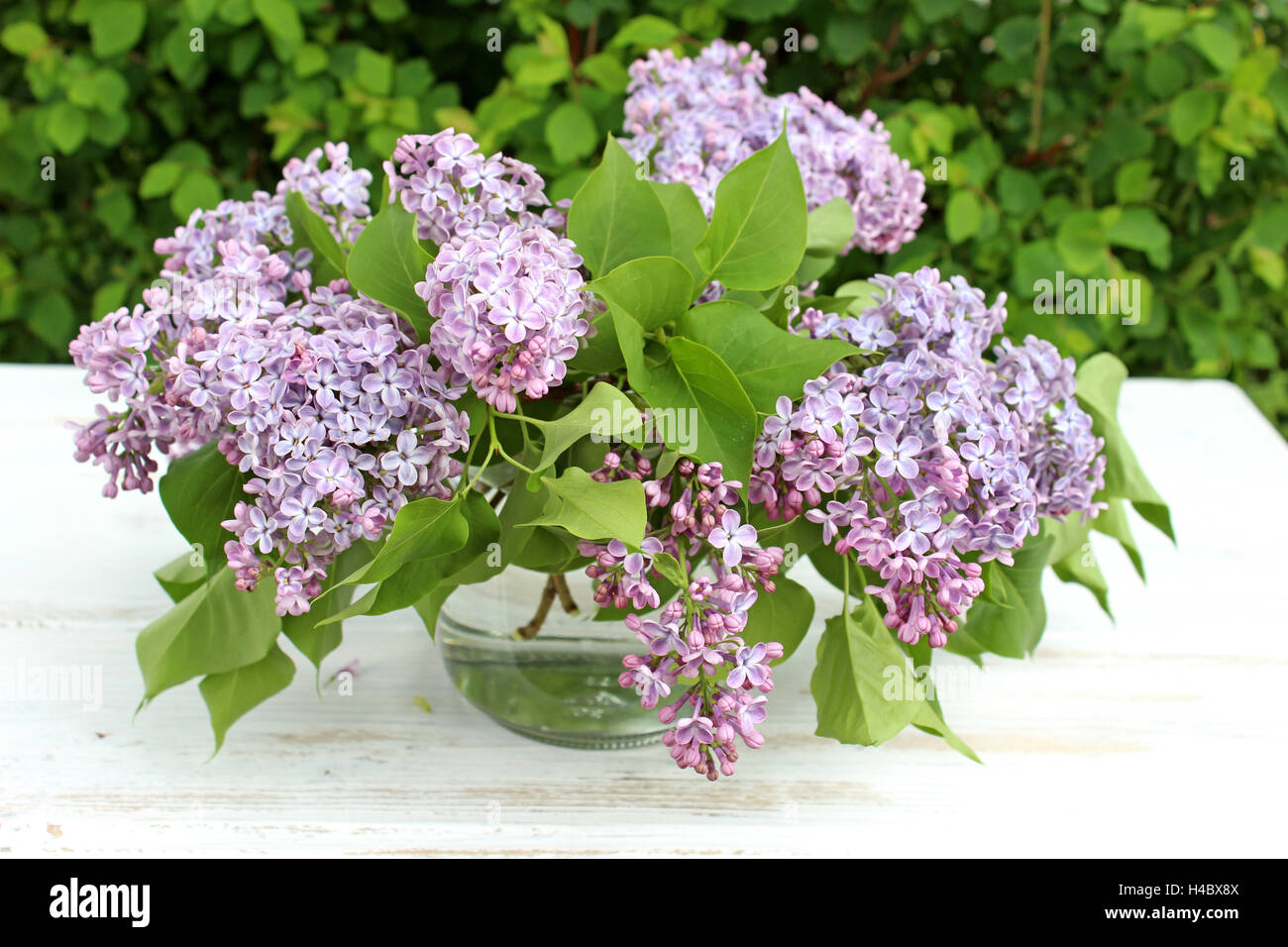 Table, lilac Stock Photo