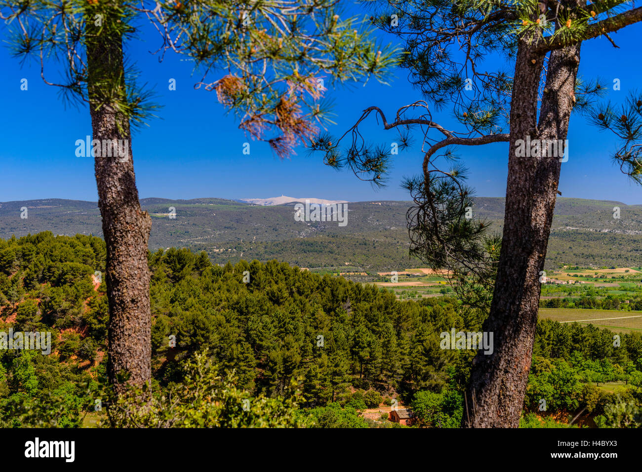 France, Provence, Vaucluse, Roussillon, Monts de Vaucluse with Mont ...