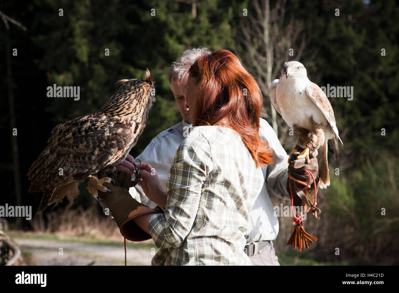 Falconer and female falconers holding eagle owl and ferruginous hawk on the hands Stock Photo