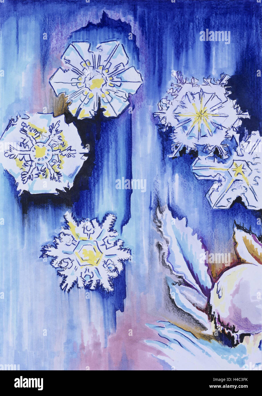Frost flowers with blue background and pink stripes Stock Photo - Alamy