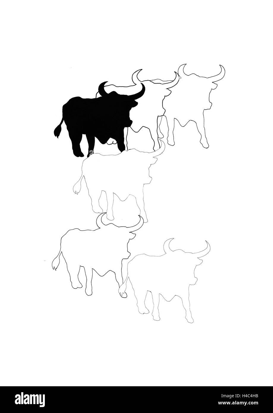 Herd of bulls Stock Photo