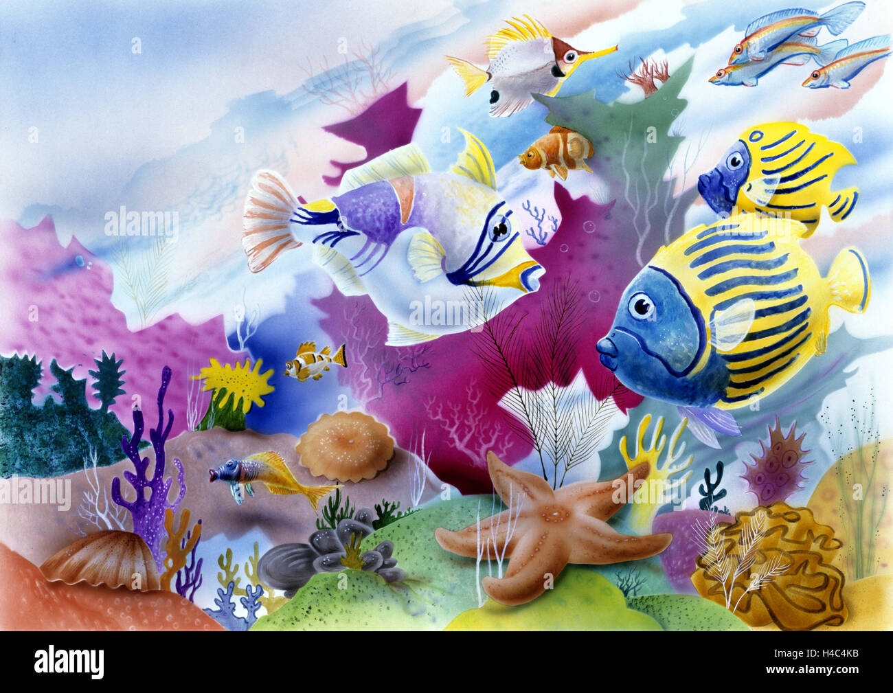 Underwater shot with corals, fishes and starfish Stock Photo