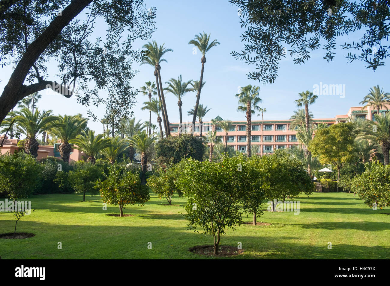 la-mamounia-hotel-gardens-marrakech-morocco-stock-photo-alamy