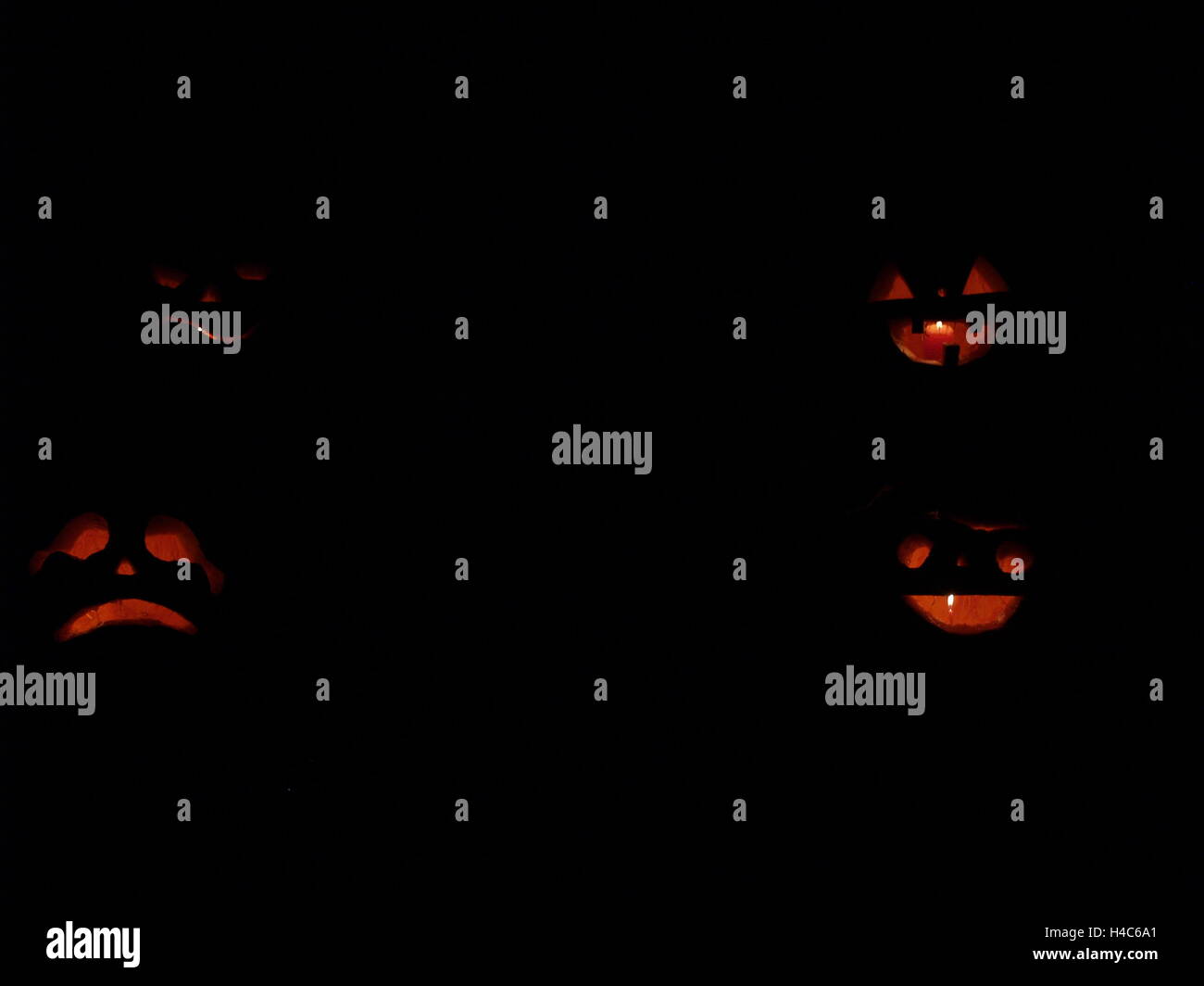 Scary Halloween pumpkins isolated on a black background. glowing faces ...