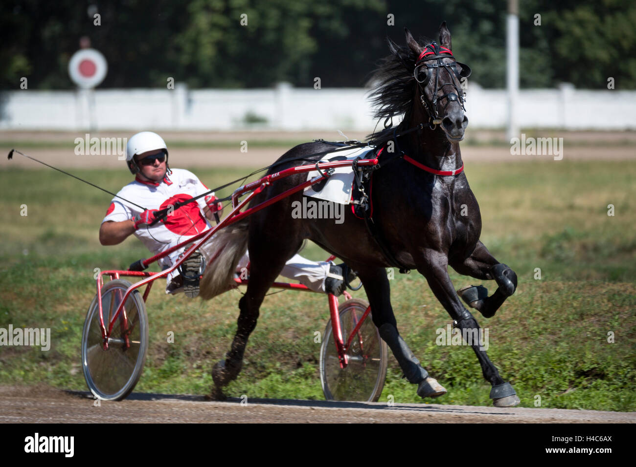 trotting heart off white nike vapormax