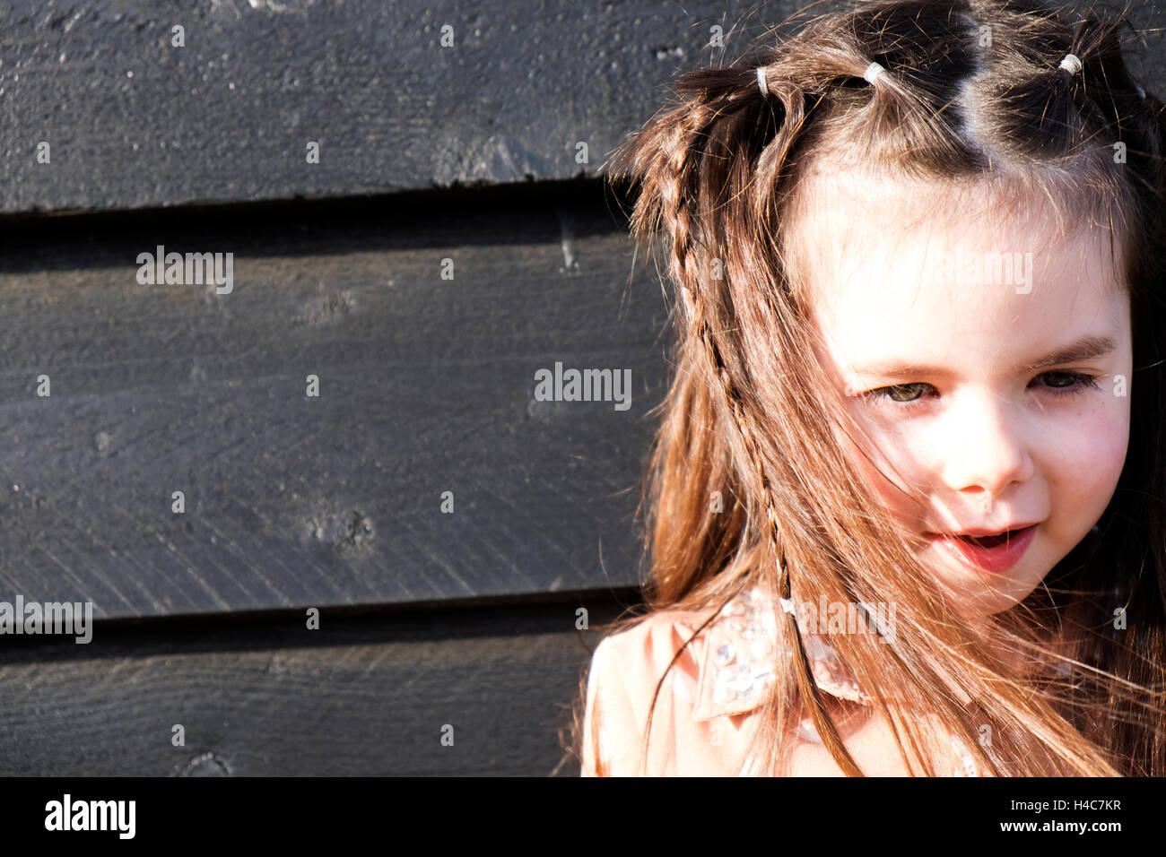 4 Year Old Girl With Braided Hairstyle Stock Photo 123200667 Alamy