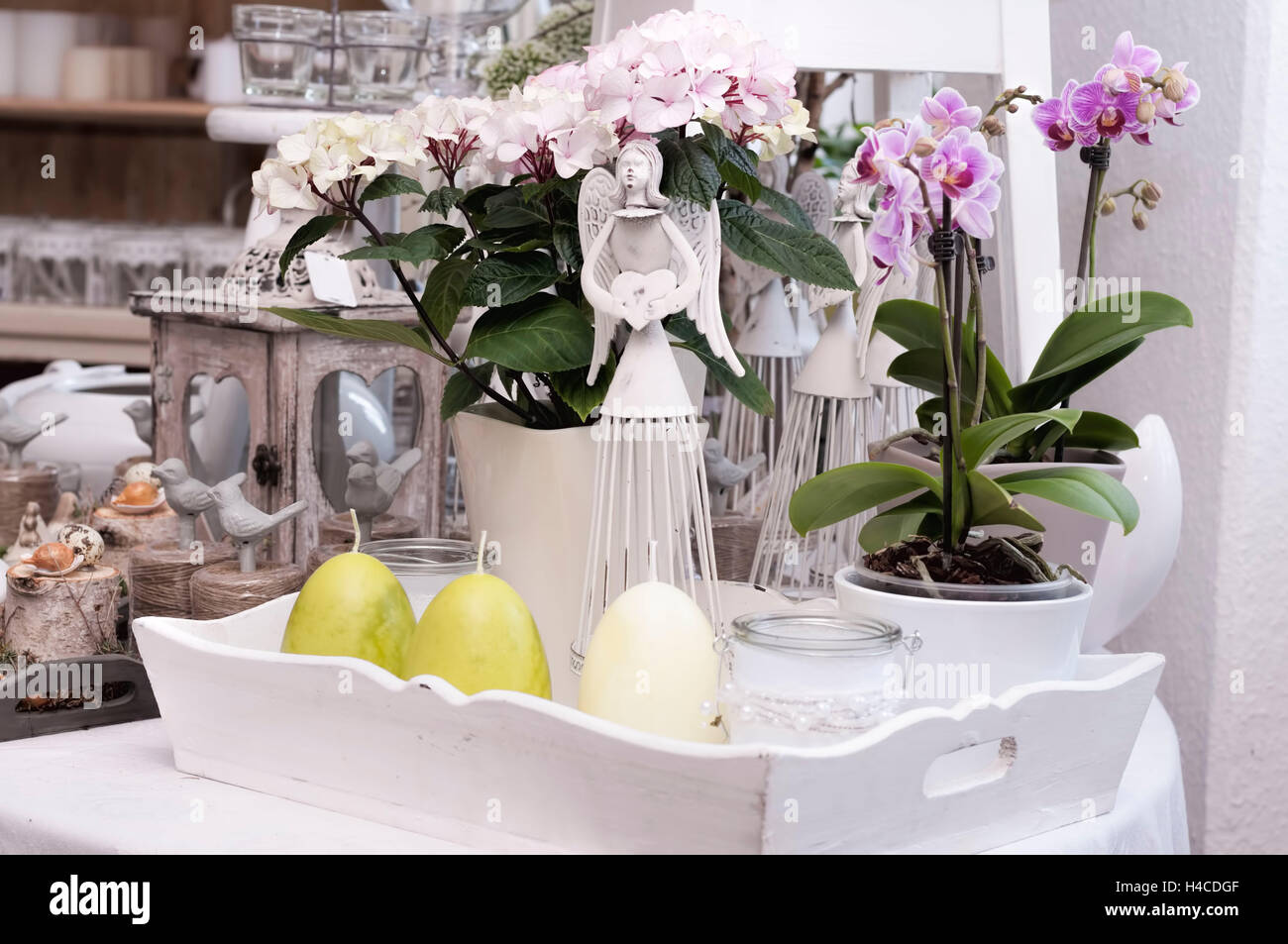 Springlike arrangement in the flower shop. eastern decoration in the foreground, in the background pink blossoming orchids. Stock Photo