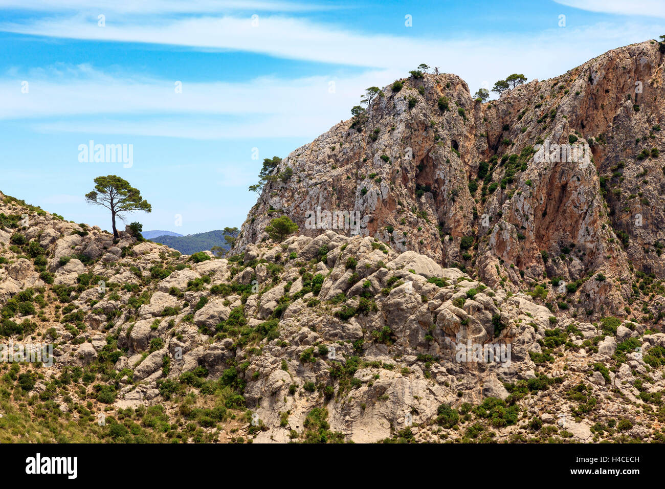 Bile scenery Serra de Tramuntana, the west the island Majorca, the Balearic Islands, Spain, Europe Stock Photo