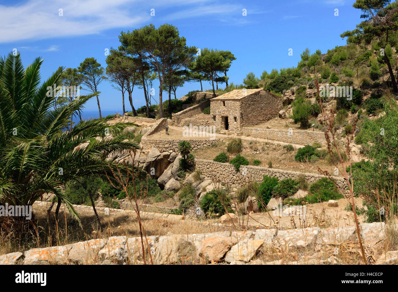Ruins of the cloister La Trapa, waistcoats the island Majorca, the Balearic Islands, Spain, Europe Stock Photo