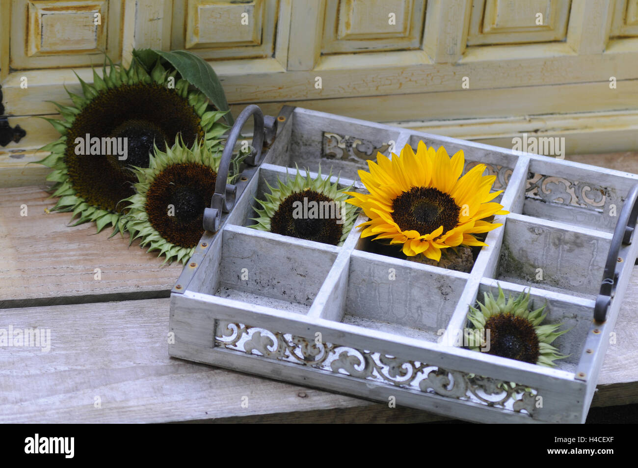 Decoration with sunflowers Stock Photo