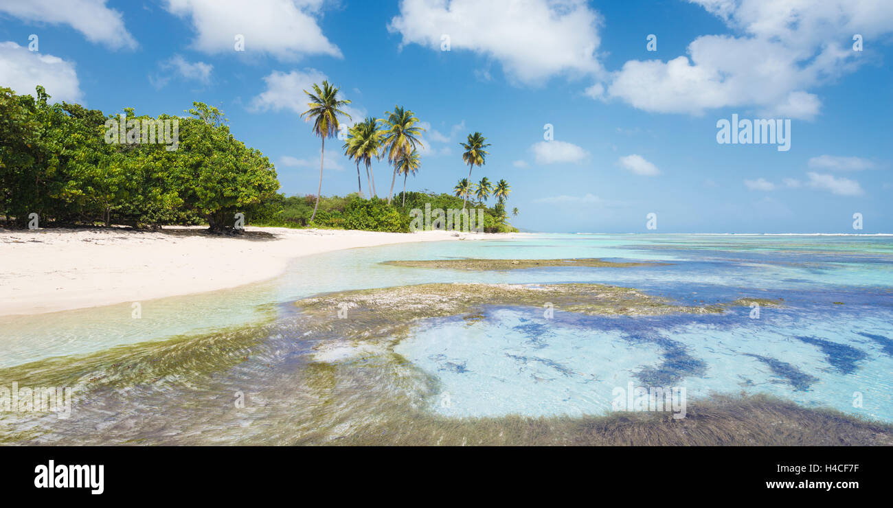 Guadeloupe, France, the Caribbean, island, Bois, Jolan, palms, dream, beach, paradise, sea, turquoise, sky, blue, Sand, fine, tropical, panorama, scenery, vacation, relaxing Stock Photo