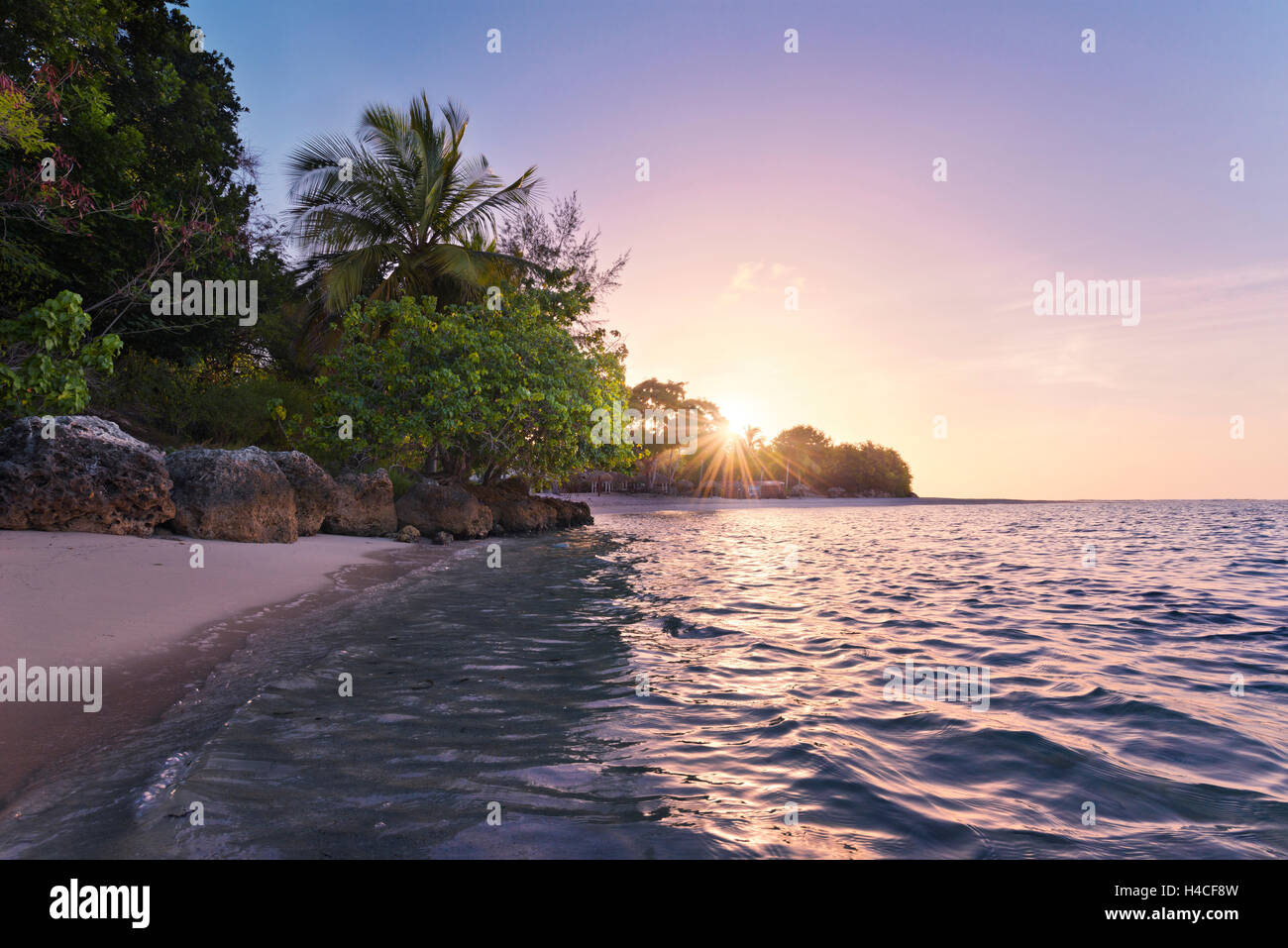 Guadeloupe, the Caribbean, France, paradise, island, beach, sea, palms, turquoise, Sand, palms, sun, back light, sun star, tropical, light, panorama, scenery Stock Photo