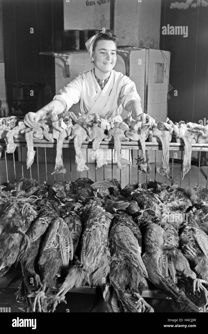 Eine Frau mit frischem Geflügel in der Küche einer Gaststätte, Deutschland 1930er Jahre. A woman with fresh poultry at the kitchen of a restaurant, Germany 1930s Stock Photo