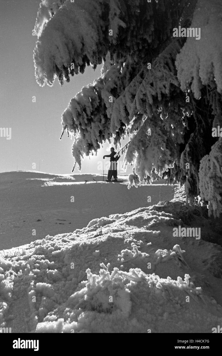 Skifahrer im Skigebiet um Oberhof in Thüringen, Deutschland 1930er Jahre. Ski tiourists at the skiing area around Oberhof in Thuringia, Germany 1930s Stock Photo