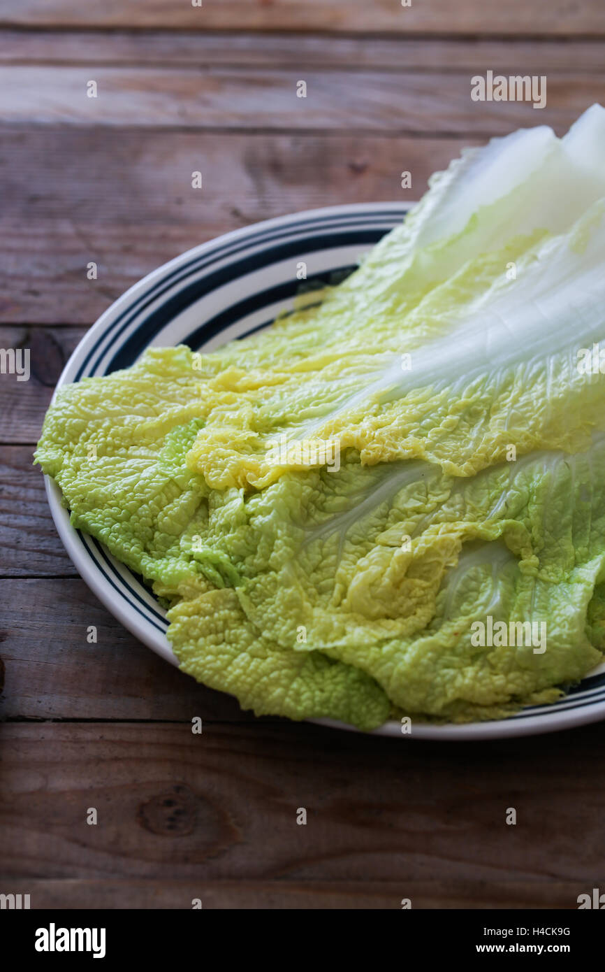 Chinese cabbage Stock Photo Alamy