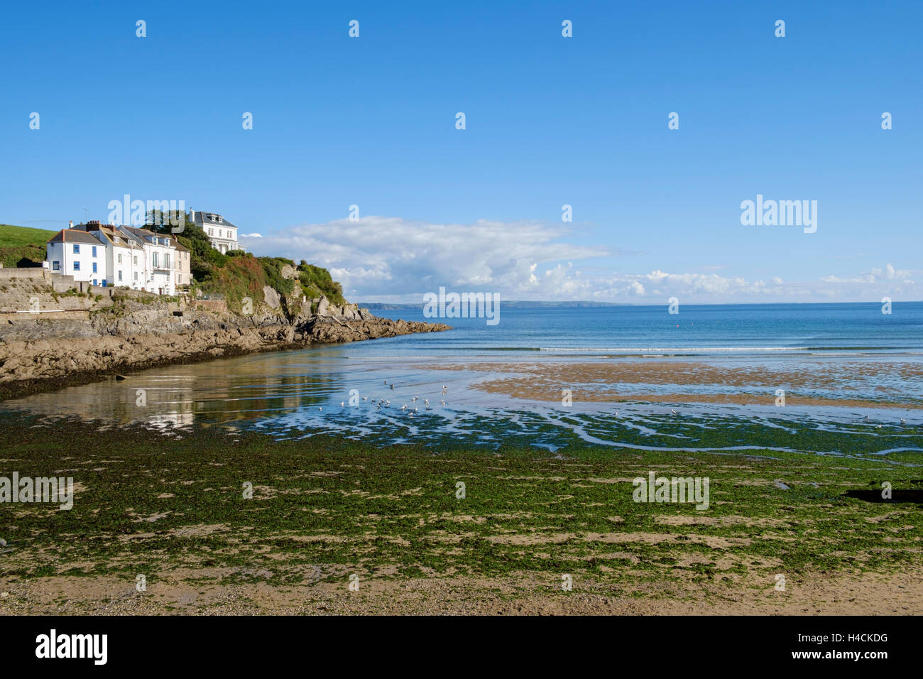 Houses built on the rocks and cliffs overlooking the sea at Portmellon
