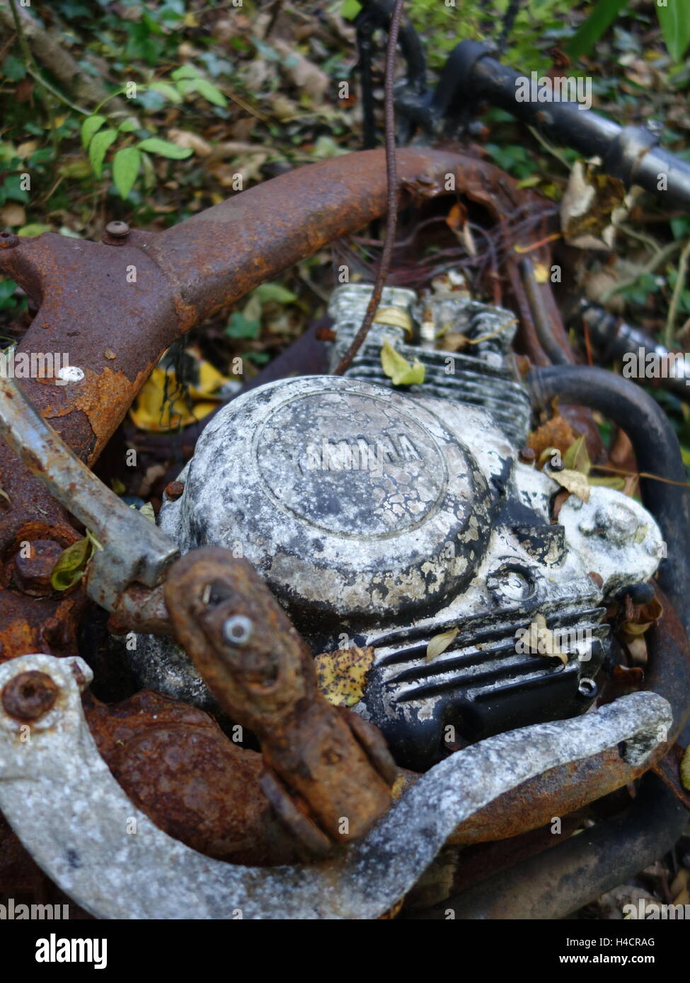 A burnt out rusty motorcycle in the woods Stock Photo