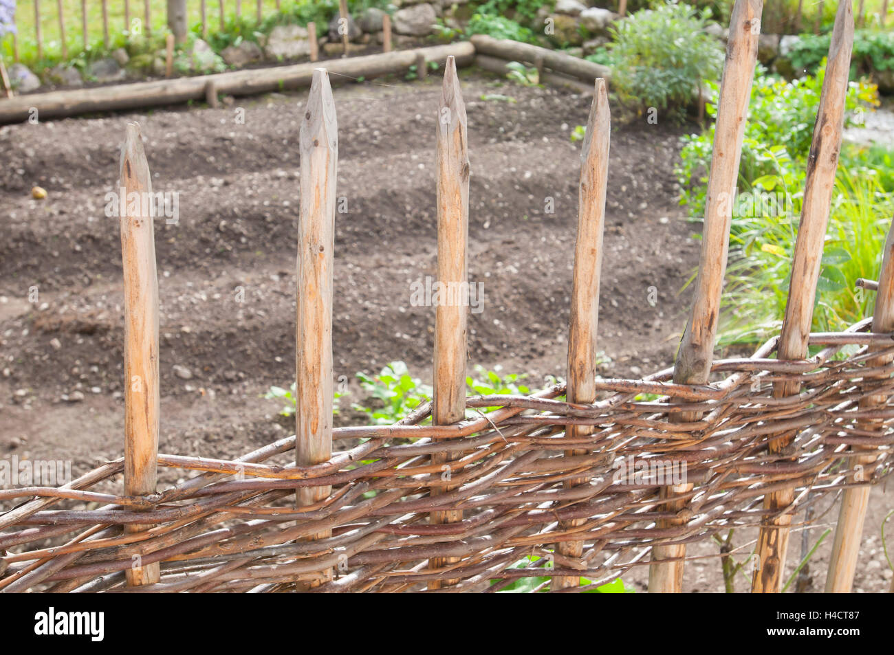 View through wooden fence in of a vegetable garden Stock Photo