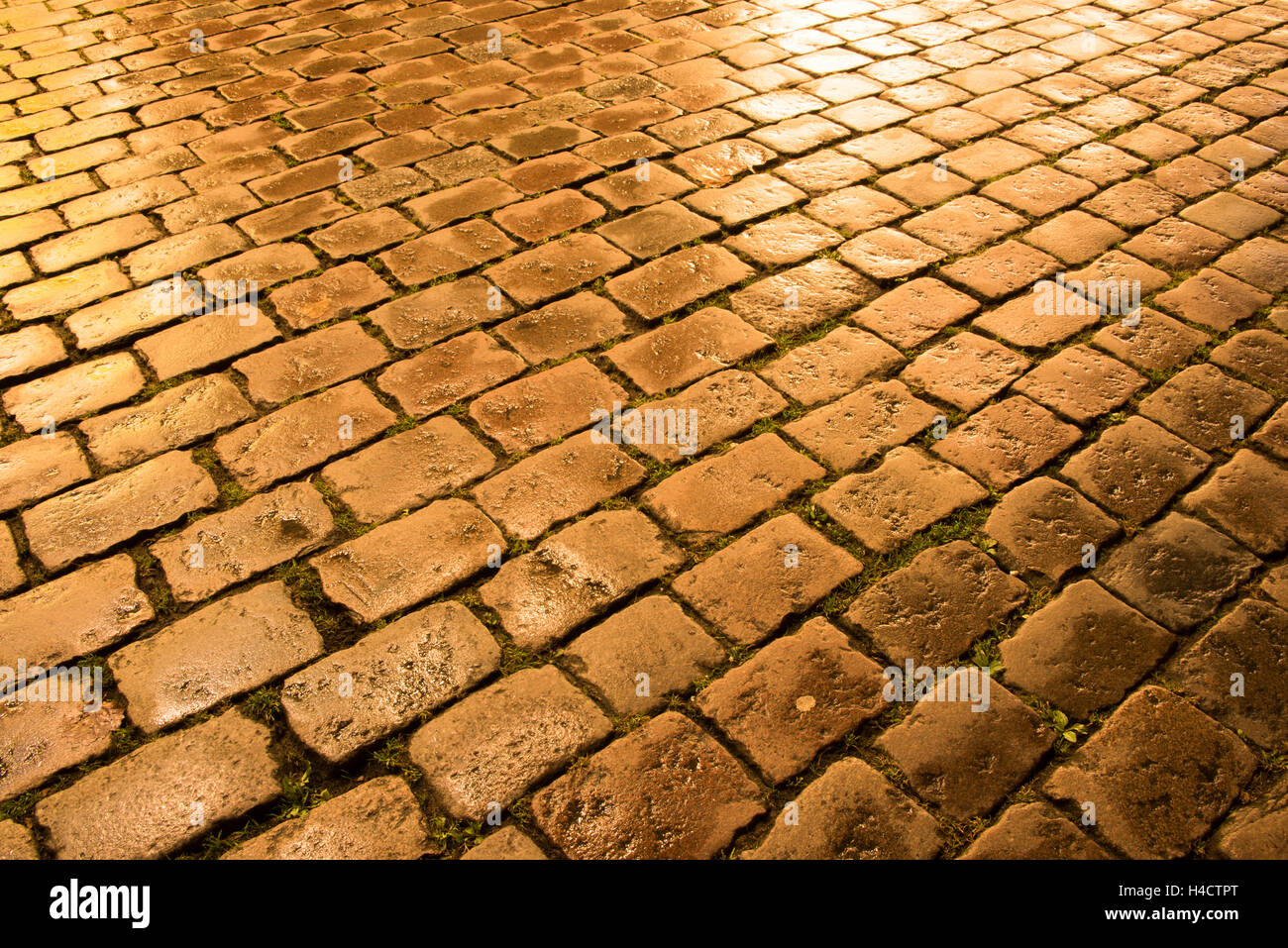 pattern of bright golden cobblestones in the city by night Stock Photo