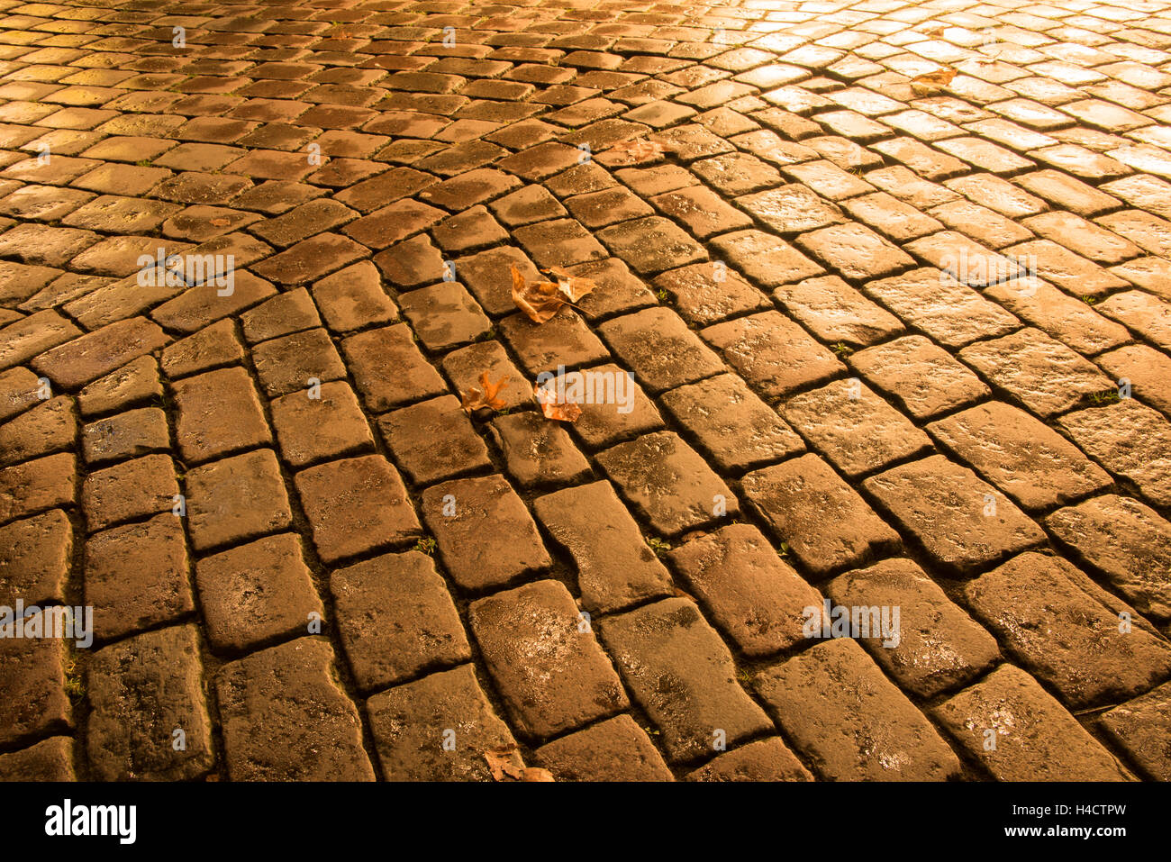 pattern of bright golden cobblestones in the city by night Stock Photo