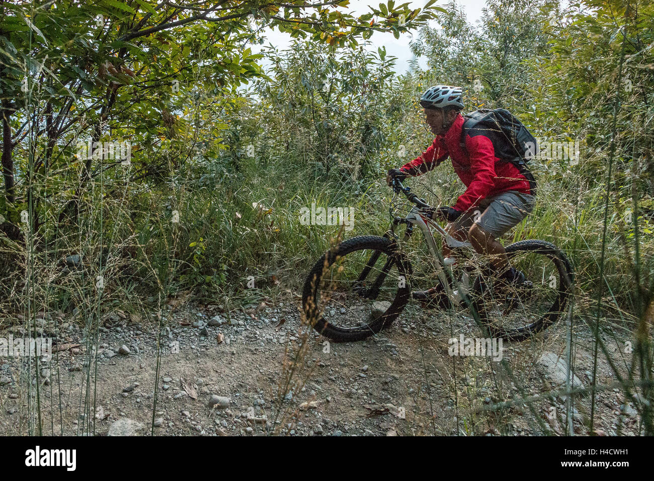 wendover woods mountain biking