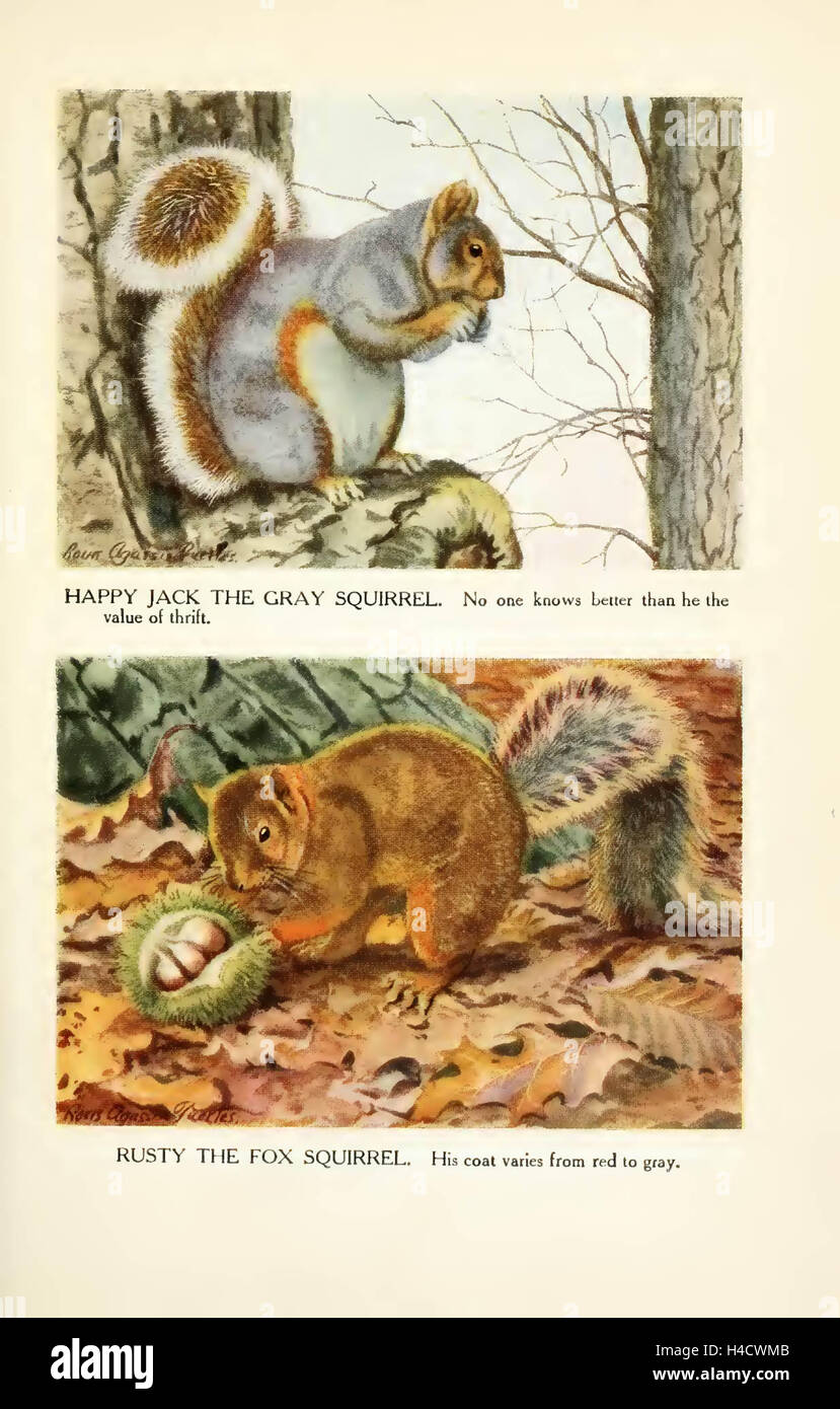 The Burgess animal book for children by Thornton W. Burgess ; with illustrations by Louis