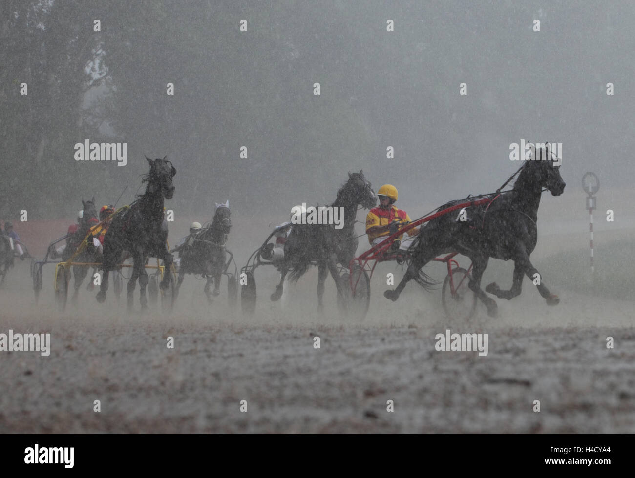 Harness racing on racetrack in Gothenburg city. Rain storm Stock Photo