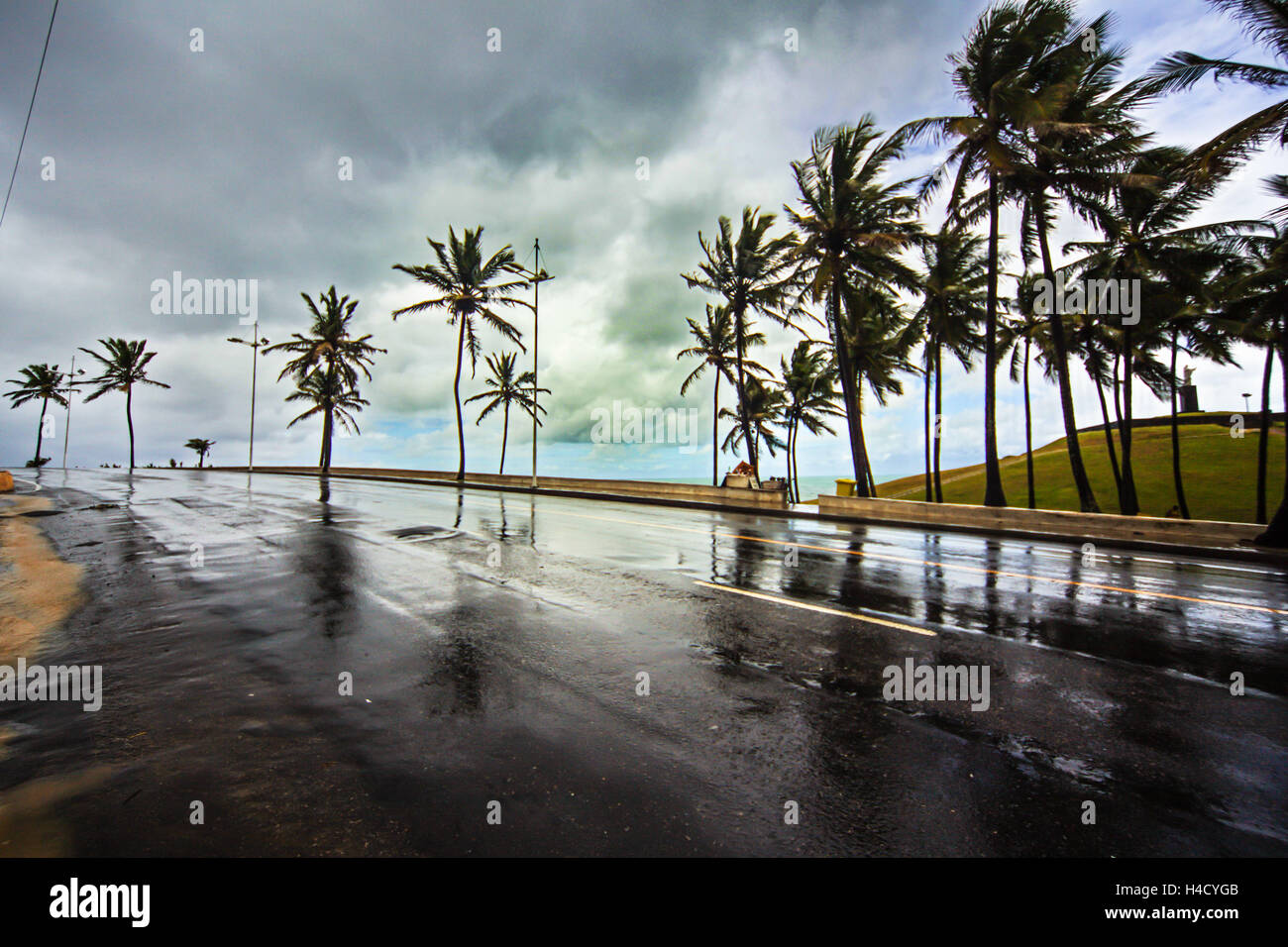 Brazil, Salvador, palms, street, shore Stock Photo