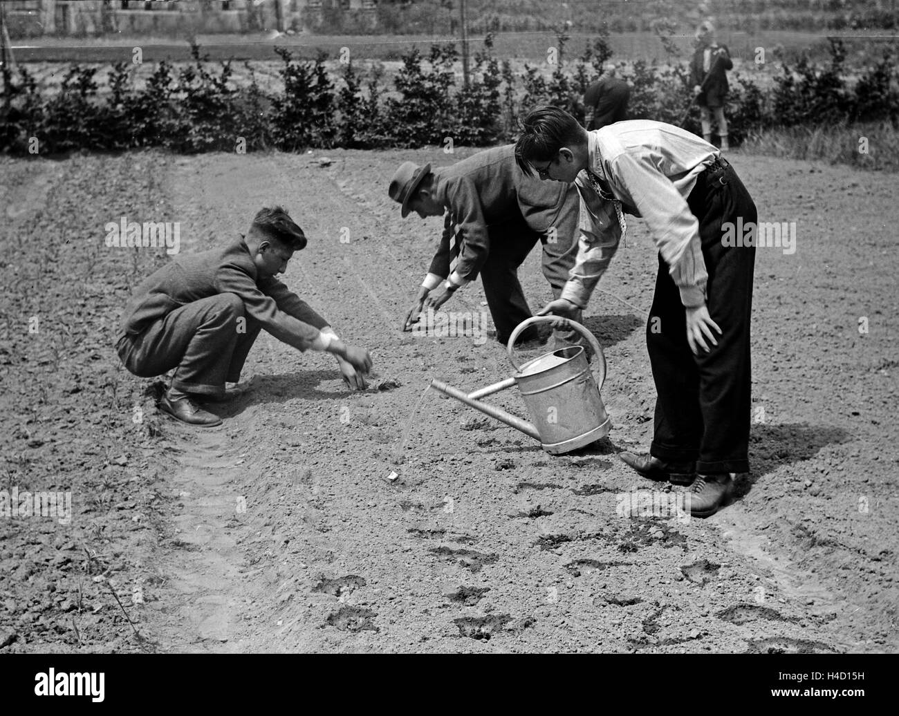 Im Garten der Berufsschule wässern die Lehrjungen die frische Saat, Deutschland 1930er Jahre. At the exercising field of their vocational school apprentices watering the fresh seeded plants, Germany 1930s. Stock Photo