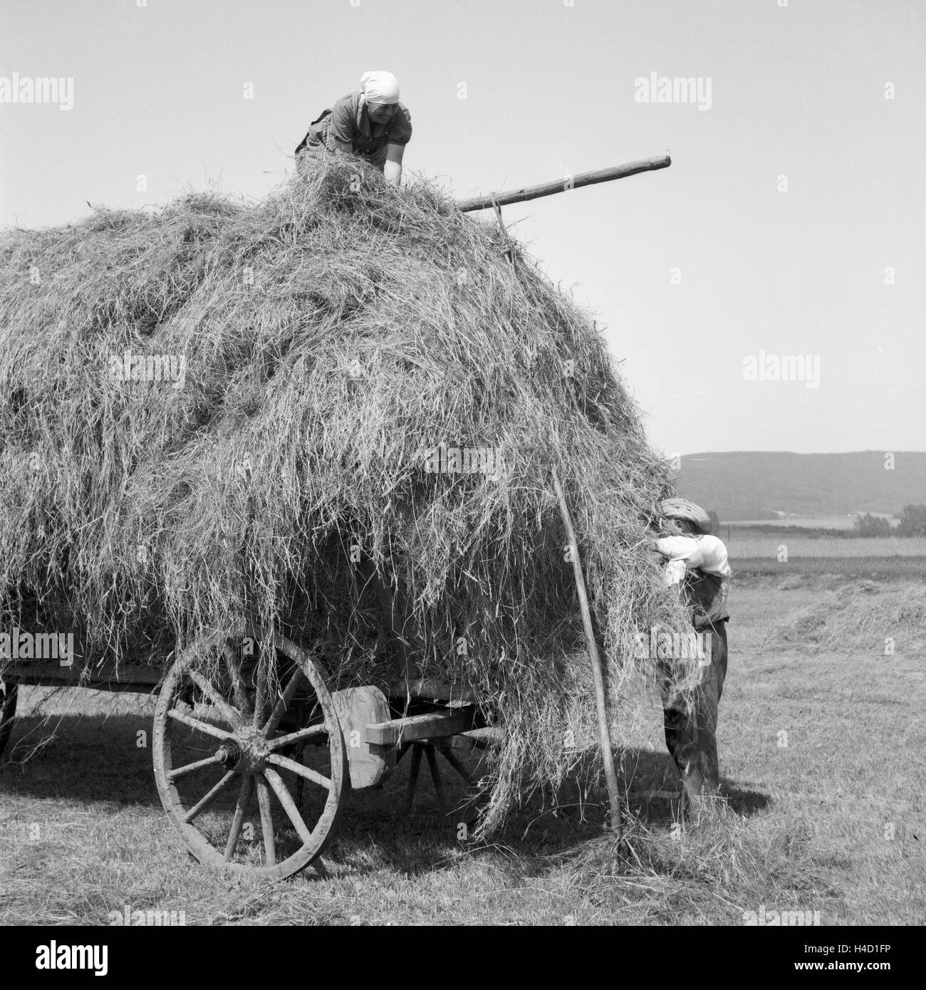 Bauern bei der Heuernte in Westfalen, Deutschland 1930er Jahre. Farmers harvesting hay at Wesfalia, Germany 1930s. Stock Photo