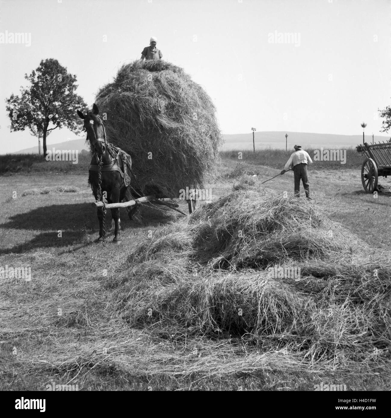 Bauern bei der Heuernte in Westfalen, Deutschland 1930er Jahre. Farmers harvesting hay at Wesfalia, Germany 1930s. Stock Photo