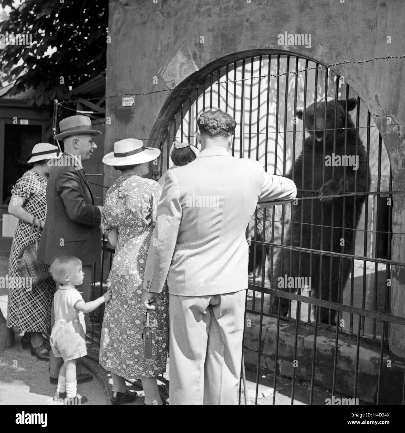 Am Bärengehege im Wilhelma Tierpark in Stuttgart, Deutschland 1930er Jahre. At the bear compound of Wilhelma zoological gardens at Stuttgart, Germany 1930s. Stock Photo