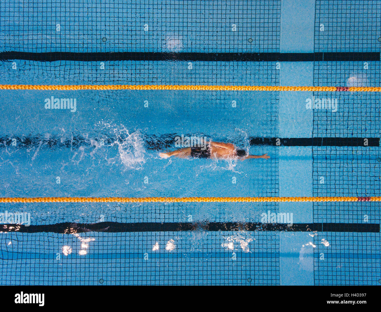 Top view shot of young man swimming laps in a swimming pool. Male swimmer swimming the front crawl in a pool. Stock Photo