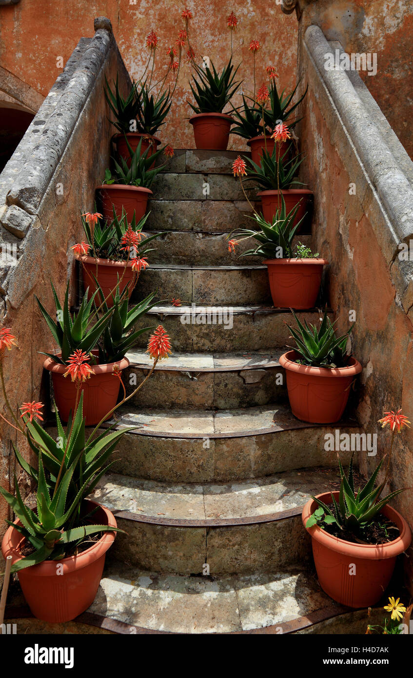 Crete, peninsula Akrotiri, Moni Agada Triada, cloister the Holy Trinity, stairs in the inner courtyard with flowerpots Stock Photo