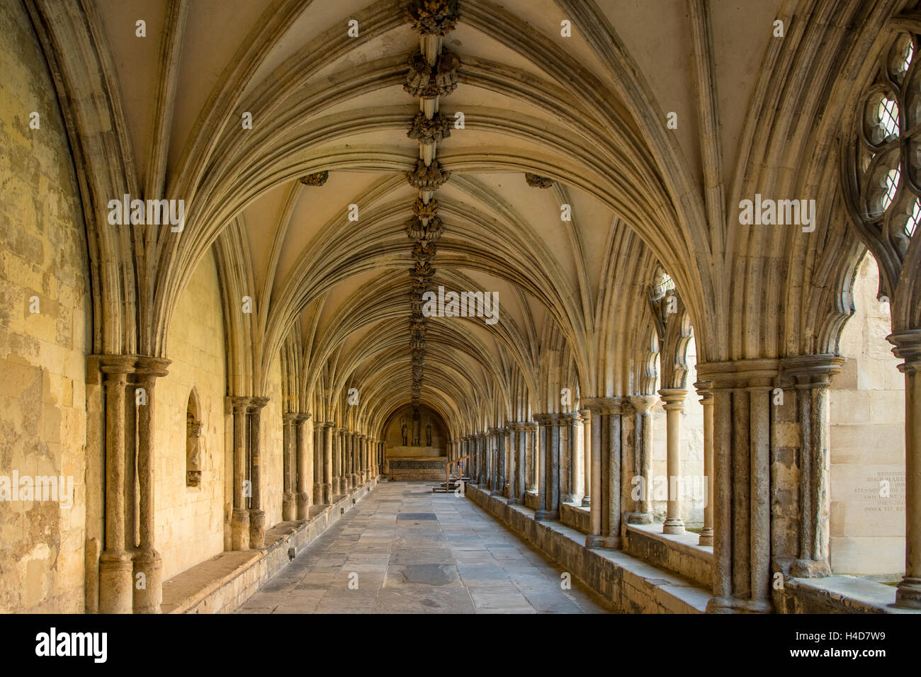 Cloisters of Norwich Cathedral, Norfolk, England Stock Photo