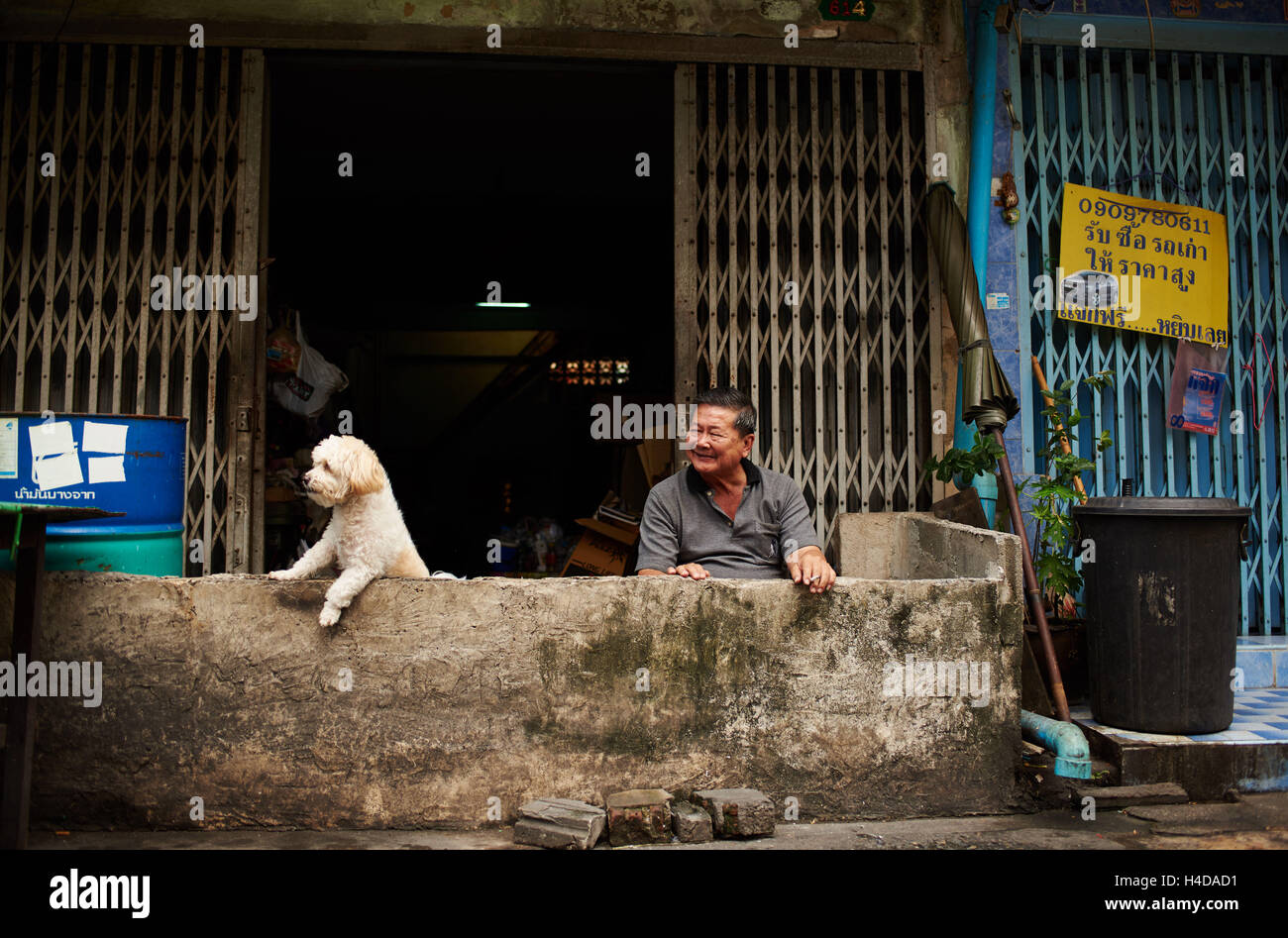 Man and dog in Bangkok Stock Photo Alamy